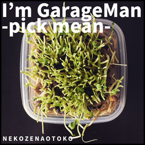 I'm GarageMan -pick mean-