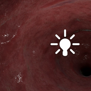 VRChat world] Inside the entrails of a giant animal