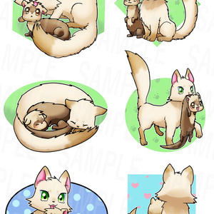 ネコちゃんとフェレットちゃんの仲良し