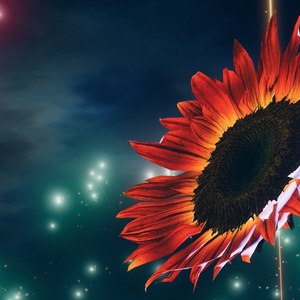 SunflowerBouquet【VRCアバターギミック】 缩略图 6