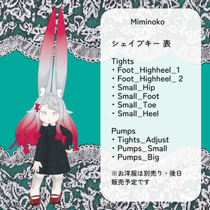 【11アバター対応】ColorfulTights＆GatheredPumps【ワールド固定ギミック付き】 缩略图 17