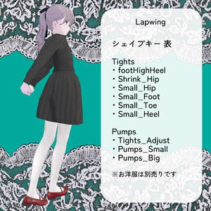 【11アバター対応】ColorfulTights＆GatheredPumps【ワールド固定ギミック付き】 缩略图 14