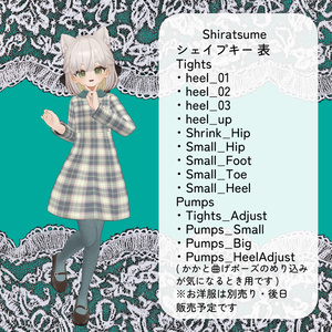 【11アバター対応】ColorfulTights＆GatheredPumps【ワールド固定ギミック付き】 缩略图 20