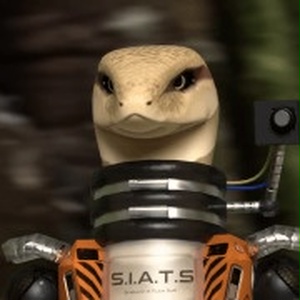 SIATS