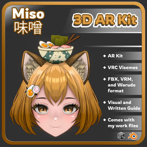 Miso AR Kit