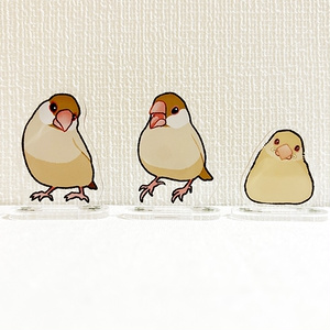 シナモン文鳥さん アクリルスタンド