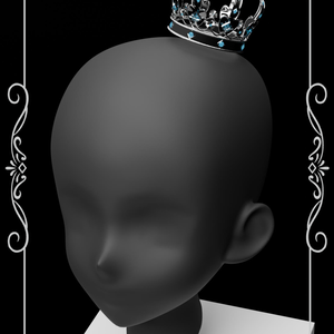【VRChat】Silver Crown