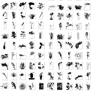  植物と季節：All-in-oneブラシセット ABR/SUT/PNG – 100点