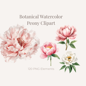 Peony Collection｜水彩ピオニークリップアート120点｜PNG透過素材集