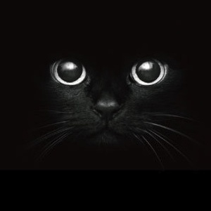 黒猫抄