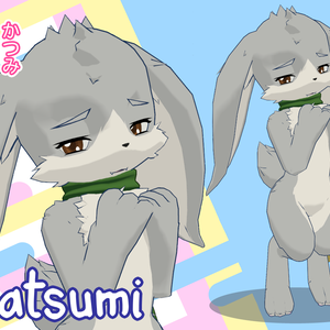 Katsumi VRChat Avatar