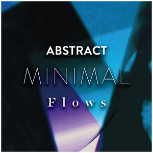 ABSTRACT MINIMAL -Flows-