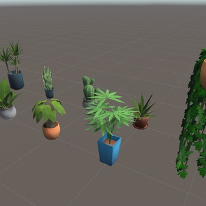 Coquelicotz＿Plants