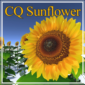 CQ Sunflower (VRChat Sunflower 3D Model)