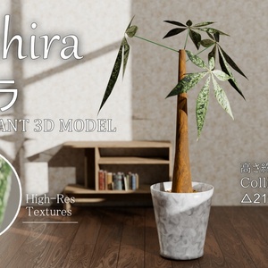 【VRC】低容量の観葉植物「パキラ」【単品】