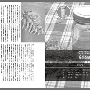 【PCゲーム情報同人誌】PGO: Struggle