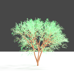木　 blenderデータ