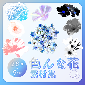 色んな花素材集（28種・9ver）