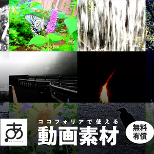 【無料/有償】ココフォリアで使える動画素材