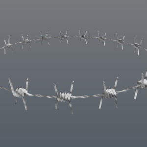 Barbed Wire Choker