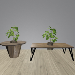 [3Dモデル]ボタニカルカフェセット　３８点 缩略图 14