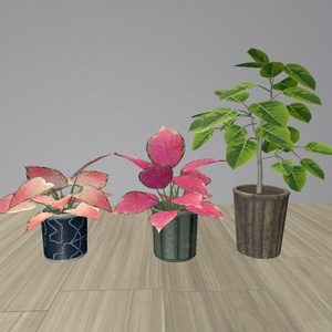 [3Dモデル]ボタニカルカフェセット　３８点 缩略图 9
