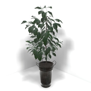 【３Dモデル】Coffee Tree Assets 缩略图 4