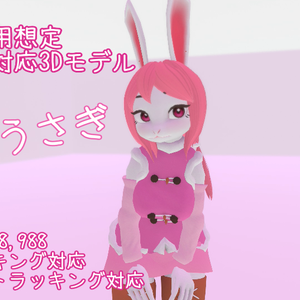 VRChat対応モデル　Nつ子うさぎ