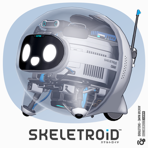 スケルトロイド / オリジナル3Dモデル