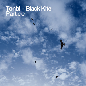 [ピーヒョロロ]鳴き声付きとんびパーティクル / Black Kite Particle with Bird Call