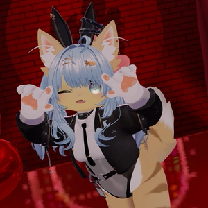 ♠️🪄🐰『Kira usagihime綺羅兎姫 』🐰🪄 ケモノ12アバター対応✨♠️ 缩略图 42
