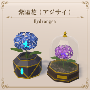 紫陽花 / Hydrangea
