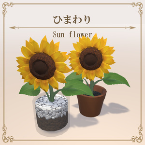 ひまわり / Sunflower