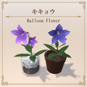 キキョウ / BalloonFlower
