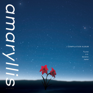 amaryllis