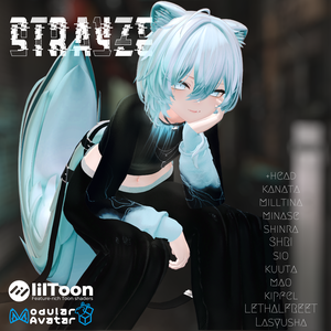 【12アバター対応】STRAYZE［#DRUM_OFF_］