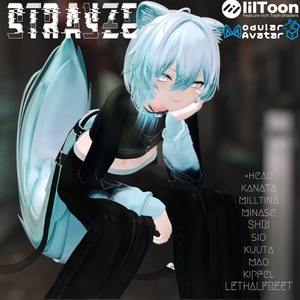 【12アバター対応】STRAYZE［#DRUM_OFF_］