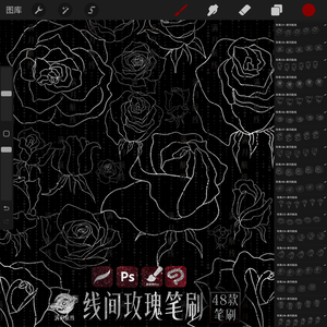 C058线条玫瑰花笔刷 48款简笔线条勾勒玫瑰csp/ps/procreate笔刷