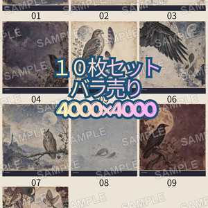 月と鳥１_古書図鑑シリーズ