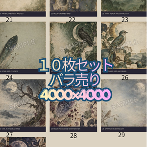 月と鳥3_古書図鑑シリーズ