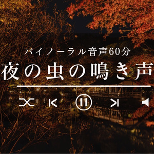 【バイノーラル】夜の虫の鳴き声  -Insects Sound-【60分】