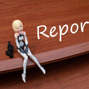 Report