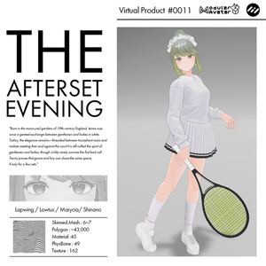 【 4アバター対応】After set Evening #0011 缩略图 5
