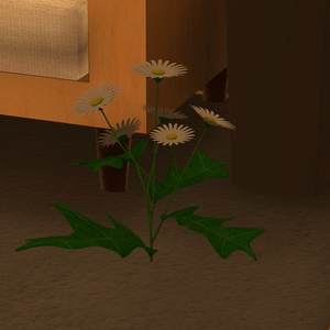 【VRChat向けアバター】 FLOWER01 缩略图 3
