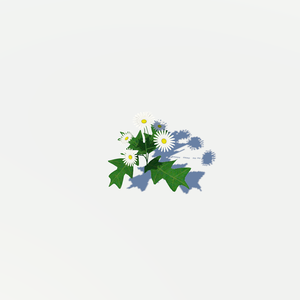 【VRChat向けアバター】 FLOWER01