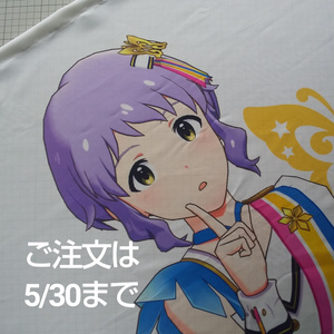 ほぼ等身大 のれん タペストリー用