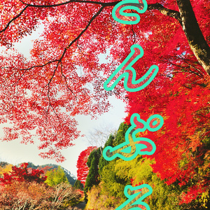 【背景. 印刷 Web素材.    B5   A4 】❻