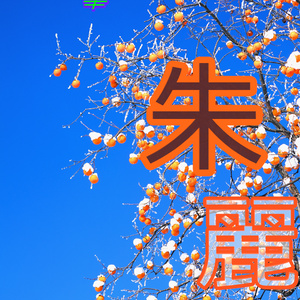 【背景. 印刷 Web素材.    B5   A4 】⓰