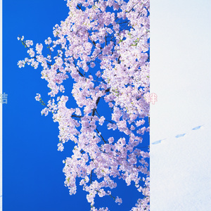 【背景. 印刷 Web素材.    B5   A4 】㉒