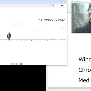 Like Face Control　体験版　アルファ　0.3